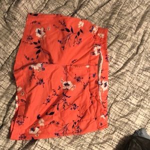 Spring is in the air!